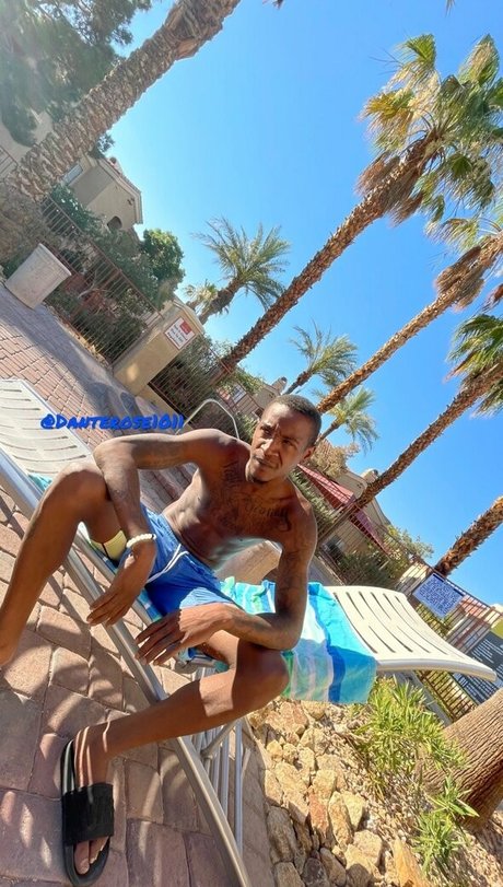 rrosendante haut de star du porno galerie