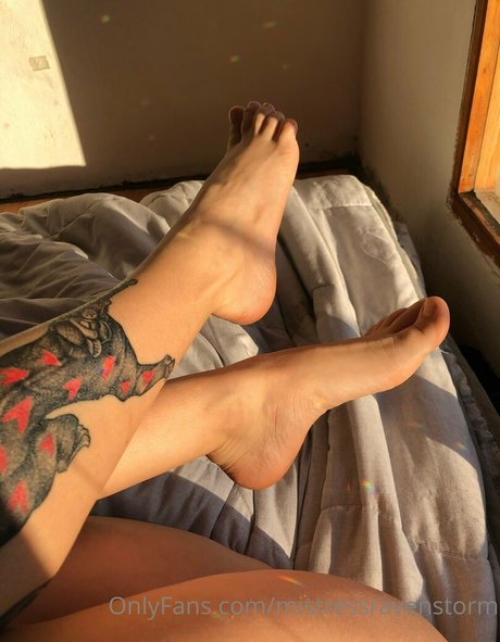 mravenstorm star érotique galerie