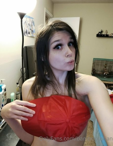 pandavision star du porno adulte img