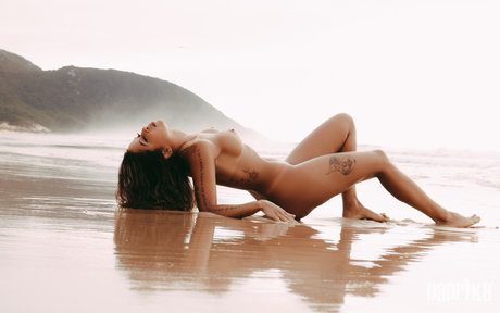 chaton courbé onlyfans haute définition chaud galeries