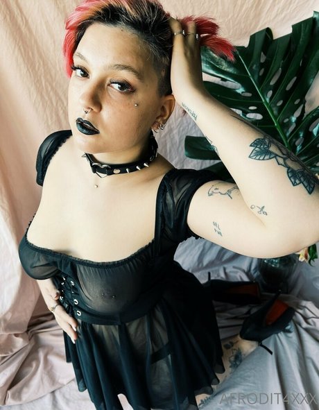 afrodit4x modèle de sexe img