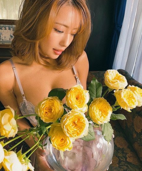 Rina Hashimoto actrice adulte img