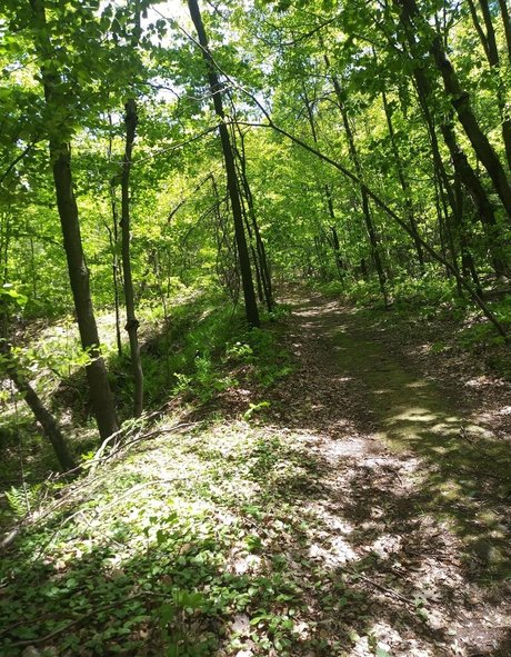 devilishdaisy étoile sexy photo