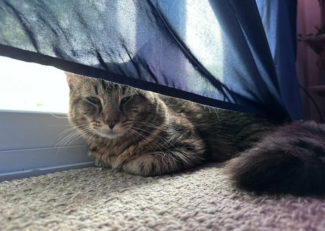 fairlyodd222 star du sexe photos