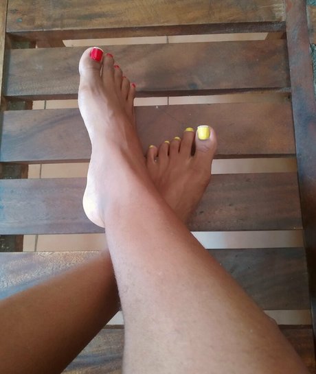 kittnsoles modèle meilleur collection