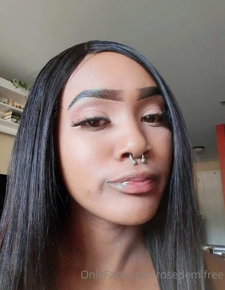 rosedemifree étoile hd images