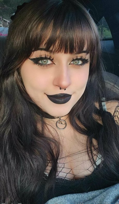 Rue Hernandez étoile galeries