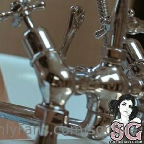 sgchile nus de stars du porno galerie