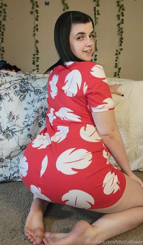 blisscatalog étoile chaude images