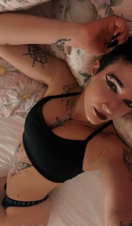 Eve winters star du porno hd photo