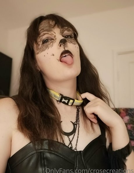 crosecreations belle étoile des photos