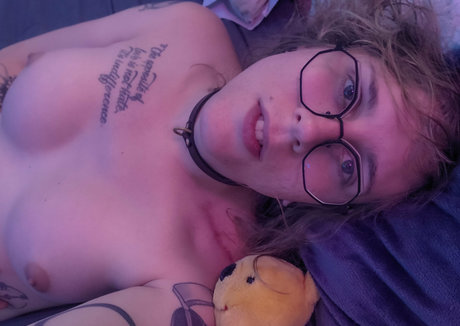 brainwashedpet star du porno sexy image