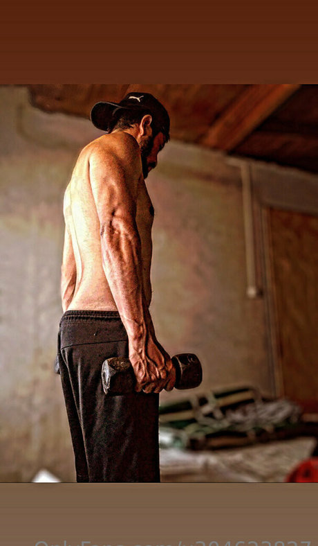 hermannwalt modèle meilleur images