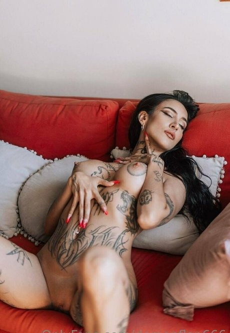 demonflor 666 art étoile photo