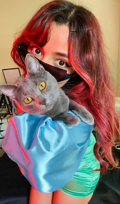 Denims star du porno xxx archive