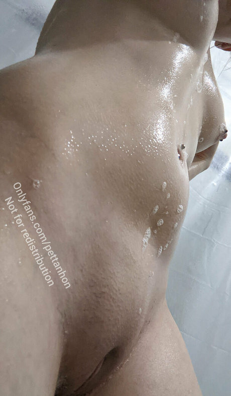 pettanhon art star du porno galeries