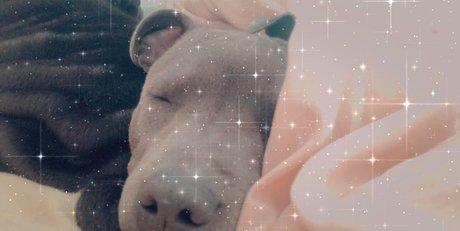 roxikeogh étoile chaude photos