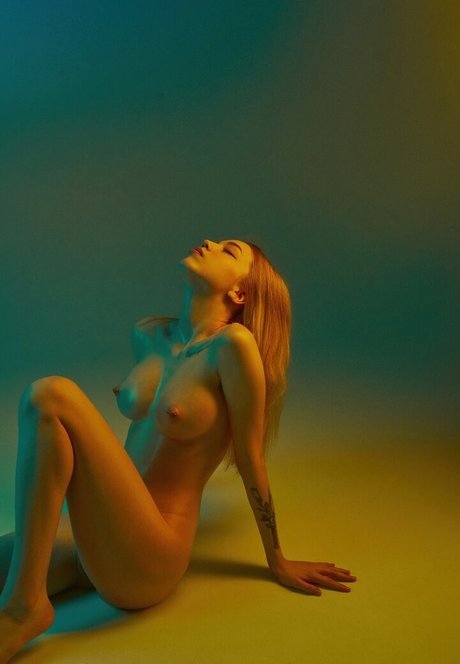 Kootovva étoile de haute qualité galerie