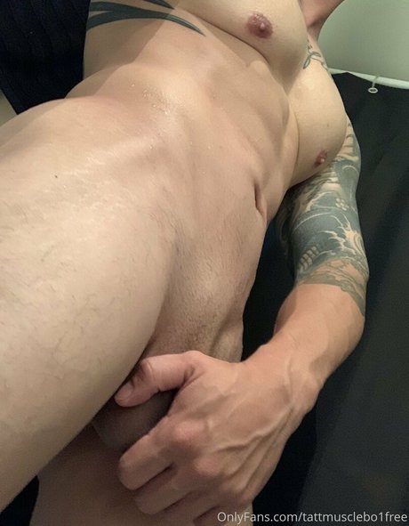 nvs video art star du porno galerie