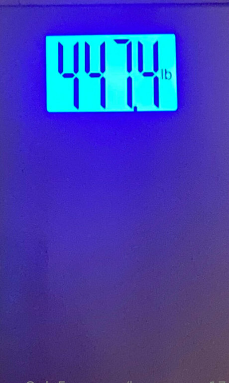 honeycow 17 étoile galerie