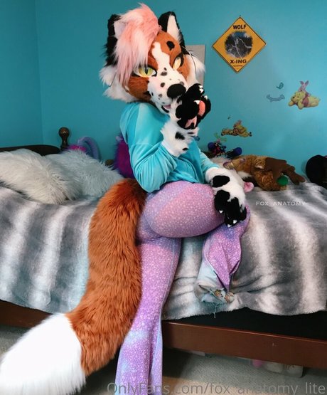 fox anatomy lite modèle xxx galerie