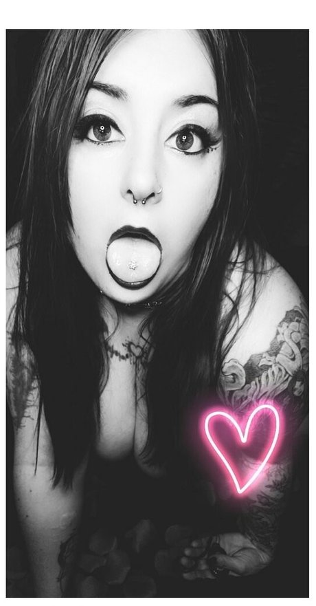 paradox 5683 étoile exclusive galerie