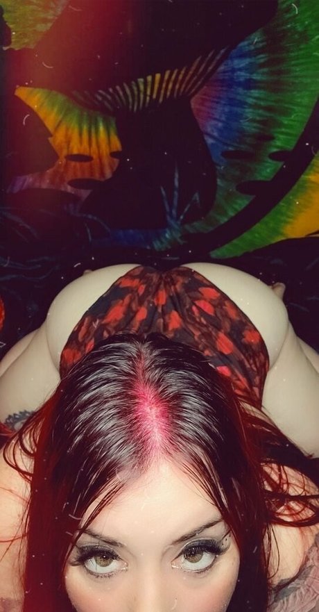 paradox 5683 star du porno belle image