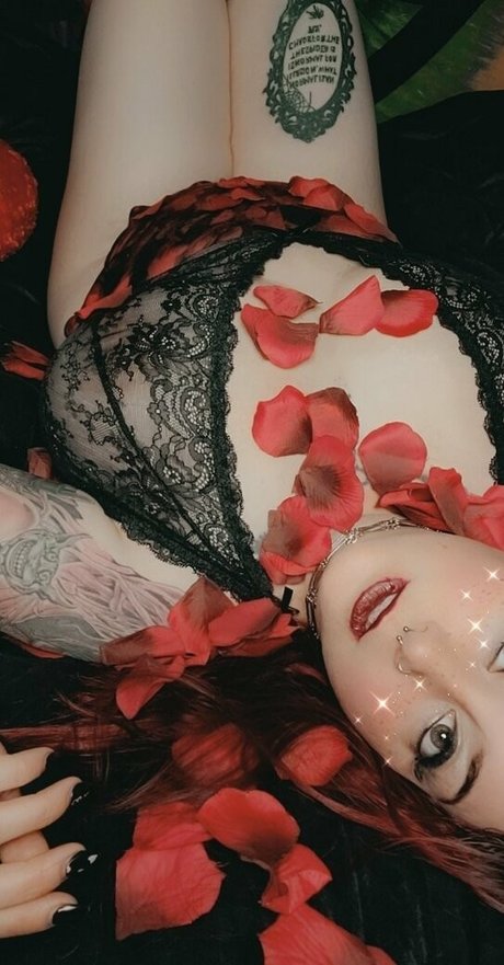 paradox 5683 étoile nue img