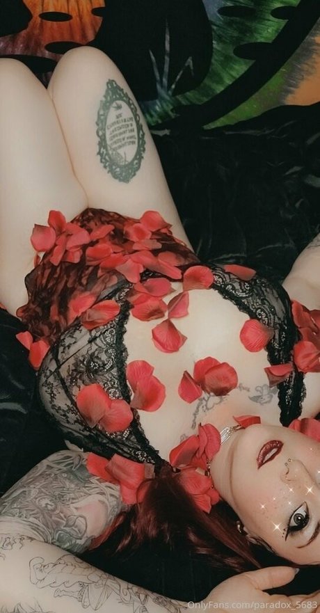 paradox 5683 haut modèle collection