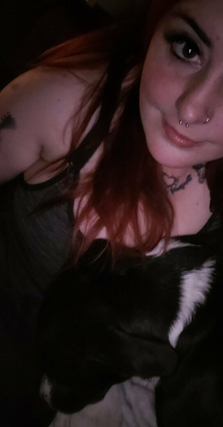 paradox 5683 étoile parfaite des photos