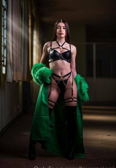 la crocioni étoile gratuite galeries