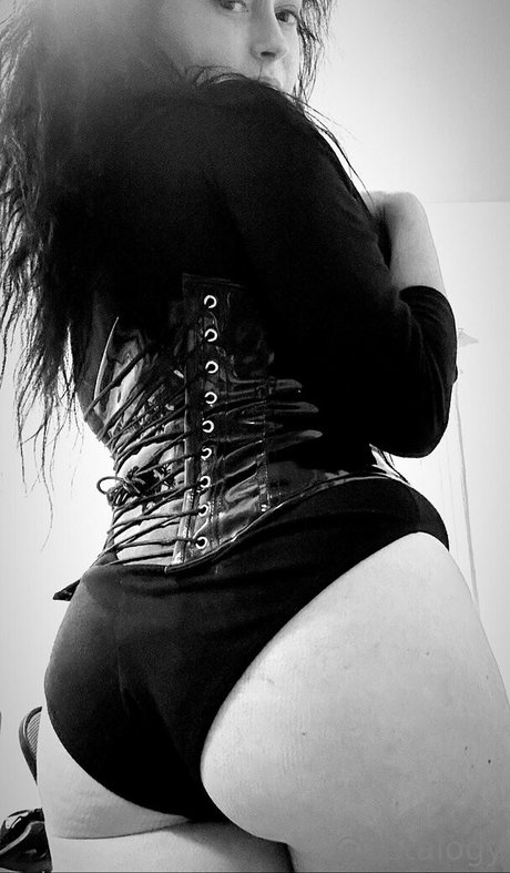 payzeta étoile hd archive