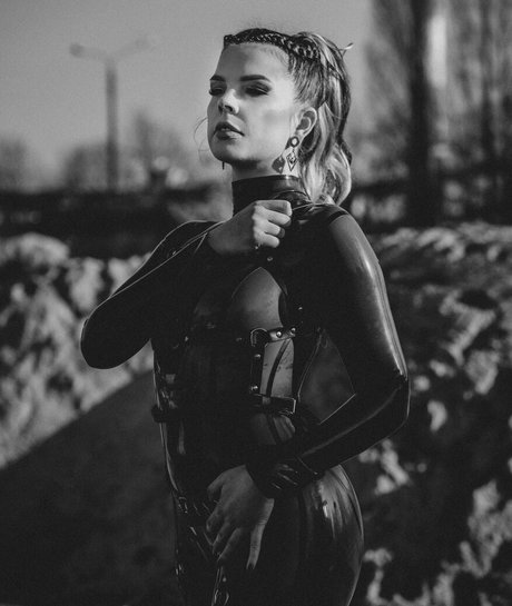 latex fox Fotoaufnahmen