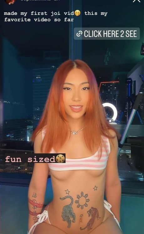 playbunyy actrice pornographique collection