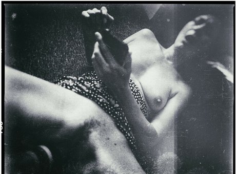 spiderplant star du porno sexy galerie