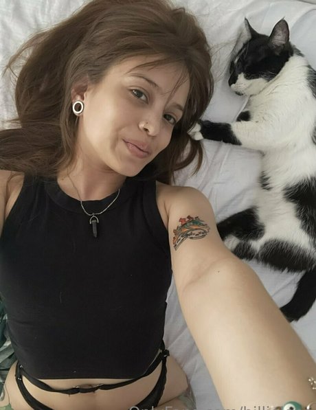 billielens modèle parfait image