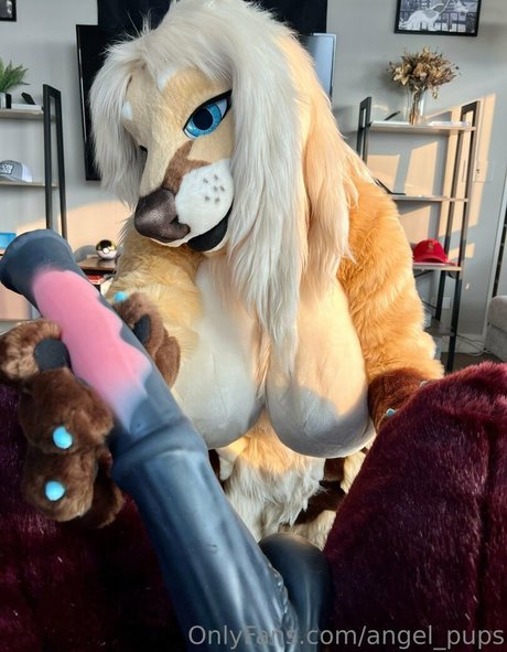 angel pups étoile sympa img