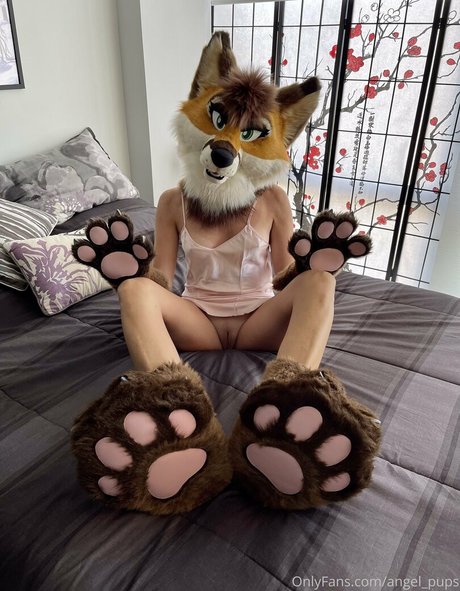 angel pups modèle chaud photo