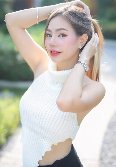 fangtnc meilleur modèle archive