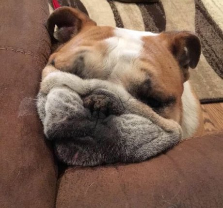 Courtney Craib Profilfoto