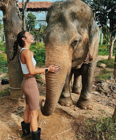 fans asiatiques négligés uniquement érotique xxx collection