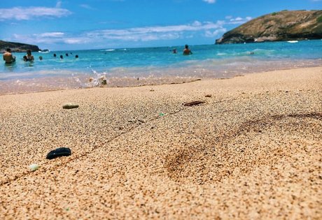 Megan Aisoff haut modèle img