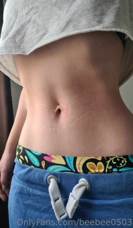 beebee0503 modèle sympa image