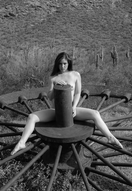 tomcat photography actrice libre galeries