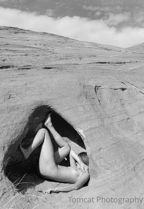 tomcat photography actrice libre photo