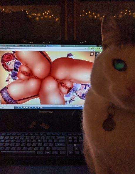 Charley Moo modèle exclusif galerie