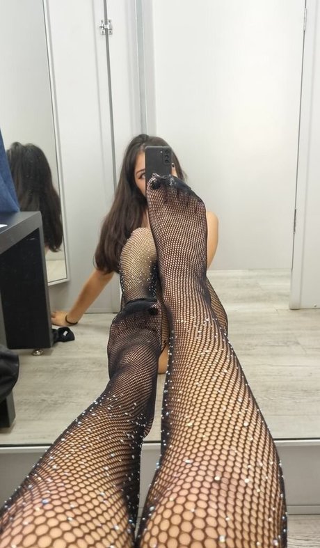 Nephila modèle gratuit collection