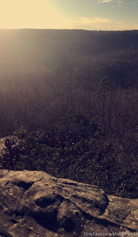 malloypanda modèle meilleur photos