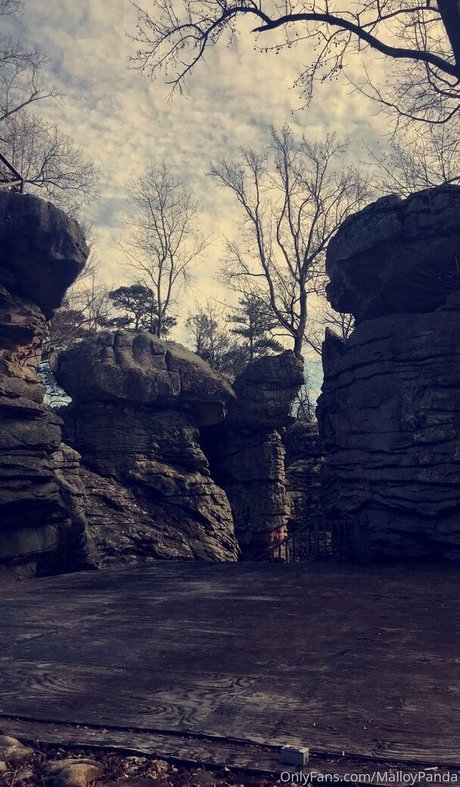 creampie transexuelle uniquementfans gratuit exclusif img