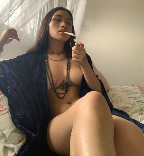 VenusMatrix modèle artistique galeries